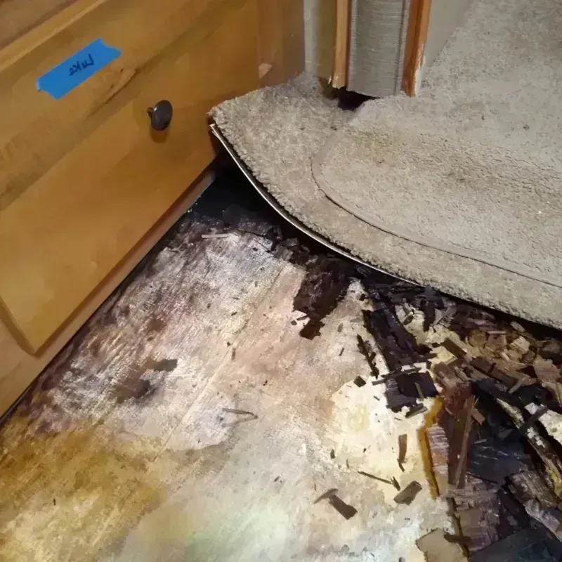 Wood Floor Water Damage in Dania Beach, FL